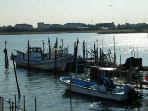 漁師町「羽田」の風景～多摩川八景 多摩川の河口／多摩川散歩