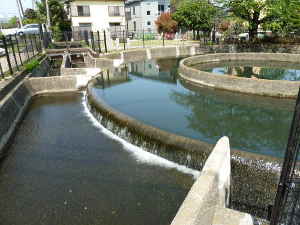 円筒分水の風景／二ヶ領用水・久地円筒分水～魅力いっぱい 多摩川散策情報