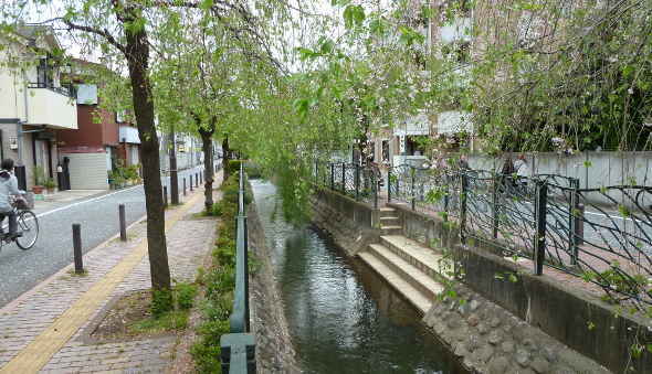 市街地を流れる二ヶ領用水（川崎堀）／春には枝垂桜が咲き乱れます～魅力いっぱい 多摩川散策情報