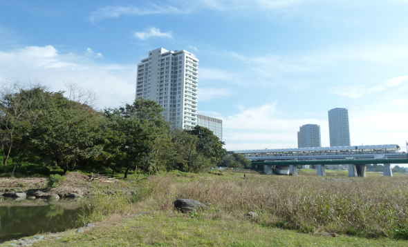 兵庫島公園：二子緑地の近くにある周遊スポット～多摩川50景　二子緑地（二子玉川緑地）／多摩川散歩