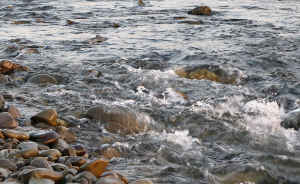 狛江の五本松前の瀬。多摩川でも有数のアユの産卵場所として知られています～多摩川50景　狛江の五本松／多摩川散歩