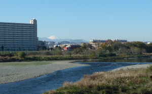 染地の多摩川　富士山が見える風景～多摩川50景　染地の多摩川／多摩川散歩
