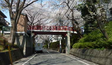 桜坂と桜橋。赤い欄干が桜坂に彩りを添えます～福山雅治の「桜坂」 大ヒット曲の舞台／多摩川散歩