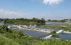日野用水堰（河口より45.2km）～多摩川の堰【多摩川散歩】