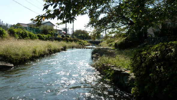 今も豊かな水が流れる二ヶ領用水・二ヶ領本川～魅力いっぱい 多摩川散策情報
