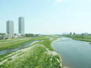 野川が多摩川に合流するあたり。きれいな河原が広がります。／多摩川の支流｜魅力いっぱい 多摩川の散策情報～多摩川散歩